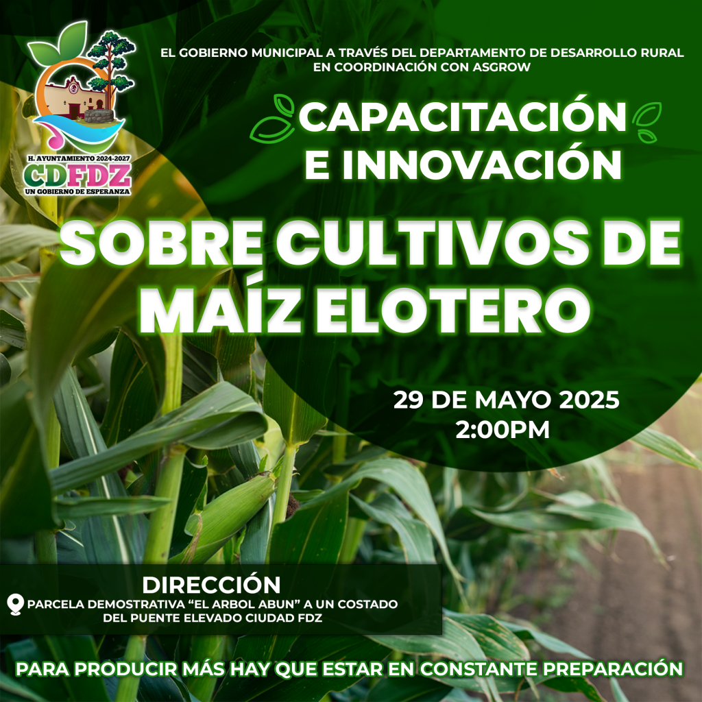 Capacitación e Innovación Agrícola en CDFDZ