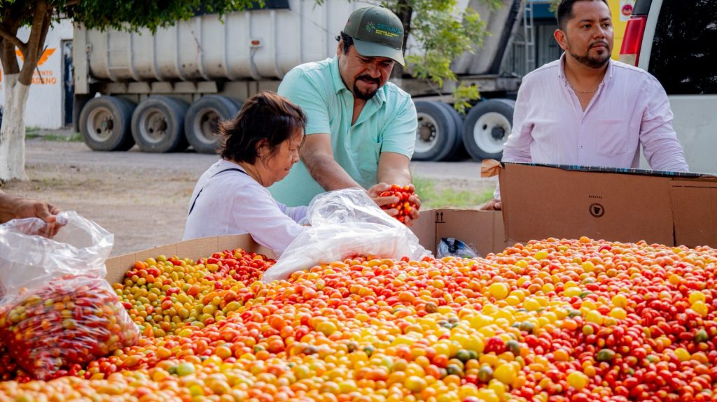 Tomatito cherry con sabor a cercanía