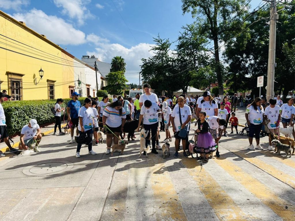 ¡Ya estamos en el K-Mina con Causa 2025!